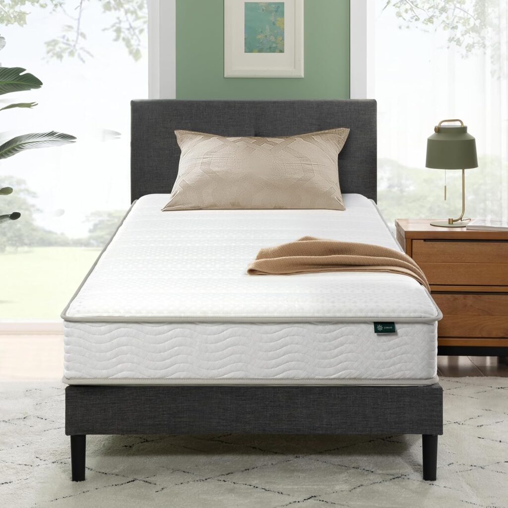 memory foam vs hybrid for back pain – ZINUS Foam and Spring Hybrid Mattress USA